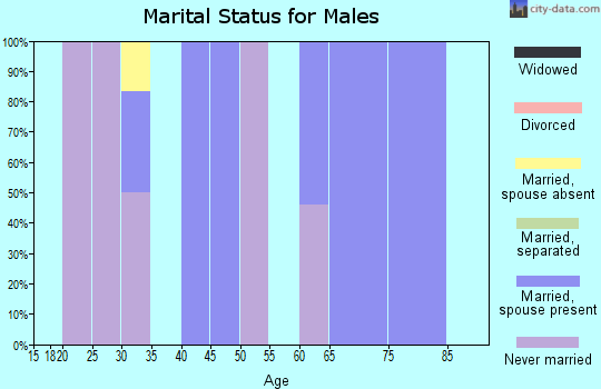 Zip code 59871 marital status for males