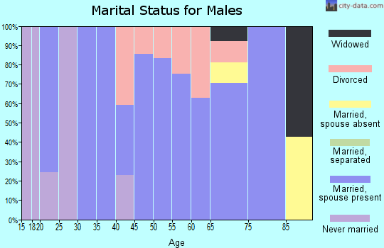 Zip code 59874 marital status for males