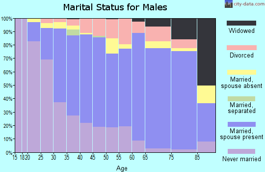 Zip code 60005 marital status for males