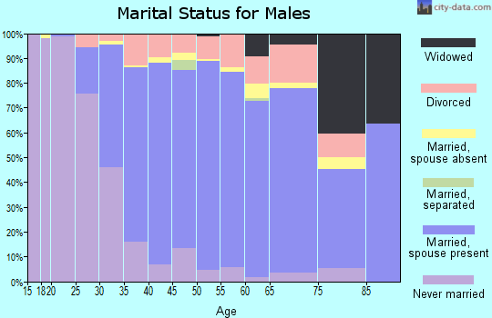 Zip code 60031 marital status for males