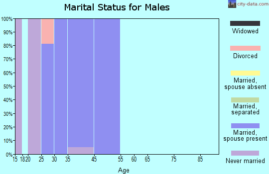 Zip code 60037 marital status for males