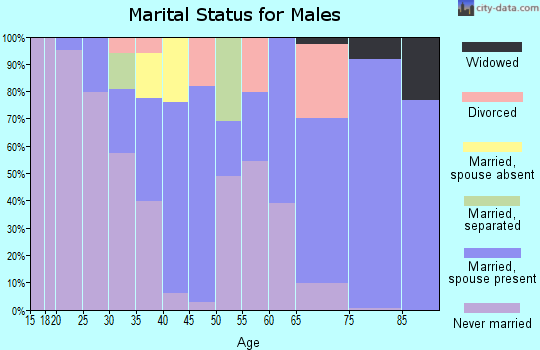 Zip code 60040 marital status for males
