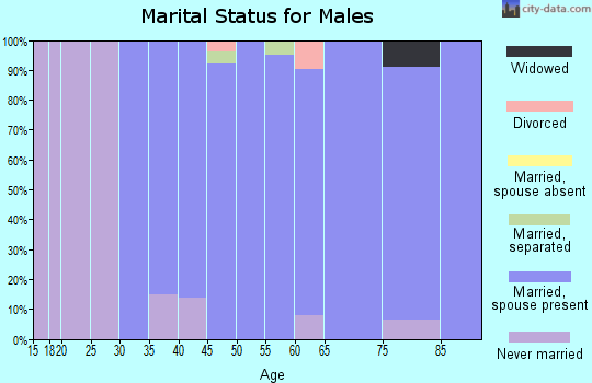 Zip code 60043 marital status for males