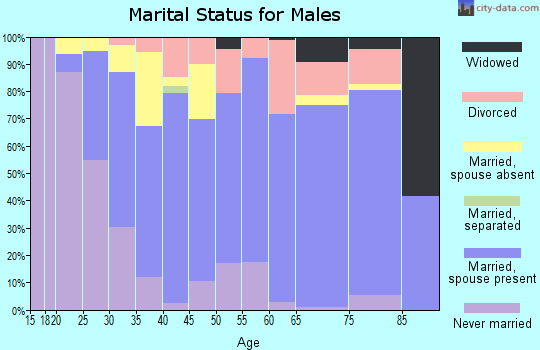 Zip code 60070 marital status for males