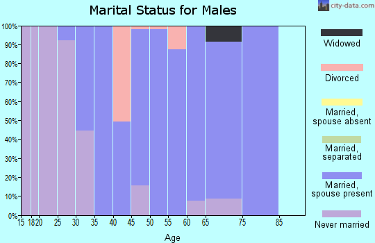 Zip code 60072 marital status for males