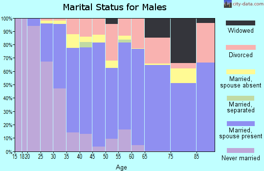 Zip code 60084 marital status for males