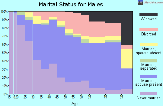 Zip code 60085 marital status for males
