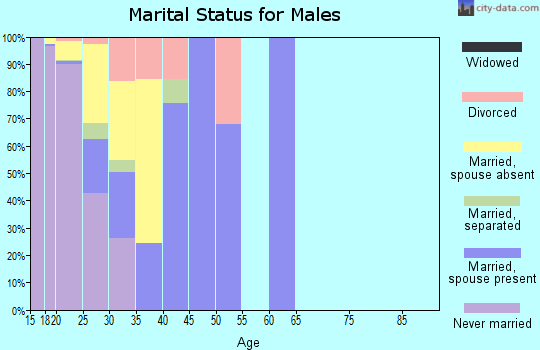 Zip code 60088 marital status for males