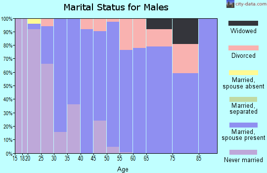 Zip code 60096 marital status for males