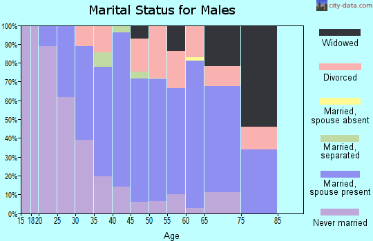 Zip code 60097 marital status for males