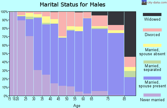 Zip code 60098 marital status for males