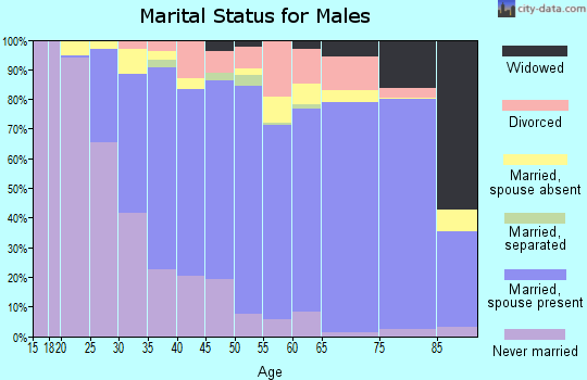 Zip code 60101 marital status for males
