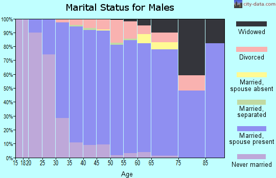 Zip code 60102 marital status for males