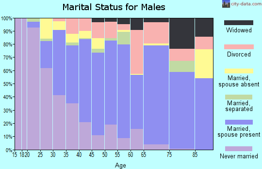 Zip code 60106 marital status for males