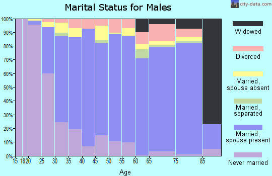Zip code 60107 marital status for males