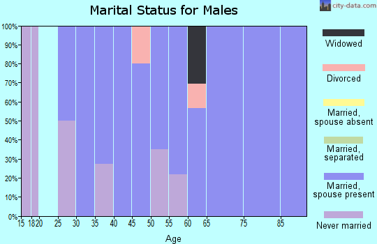 Zip code 60109 marital status for males