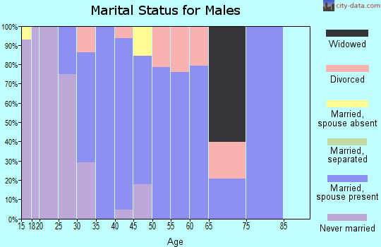 Zip code 60112 marital status for males