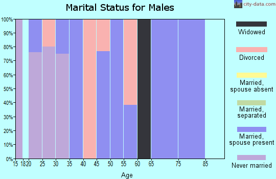 Zip code 60113 marital status for males