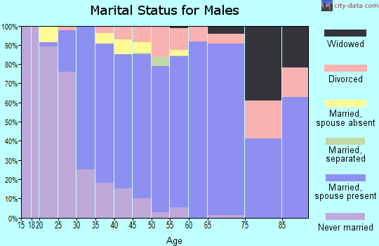 Zip code 60118 marital status for males