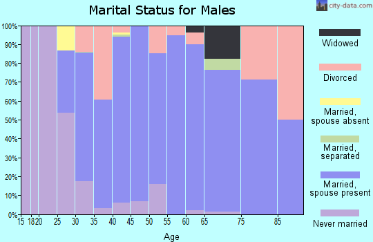 Zip code 60119 marital status for males