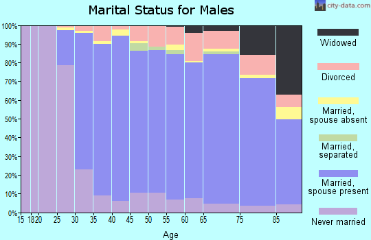 Zip code 60126 marital status for males