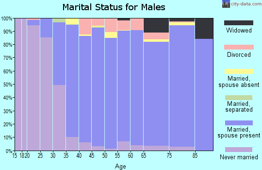 Zip code 60134 marital status for males