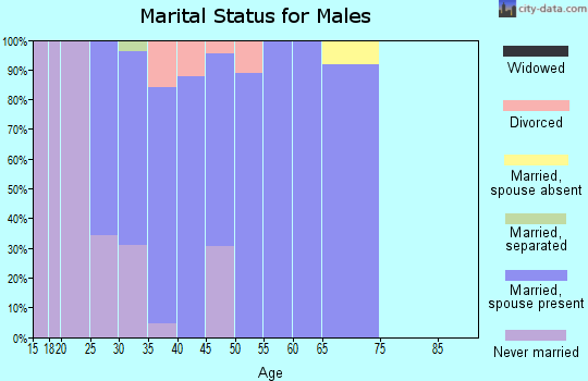 Zip code 60136 marital status for males