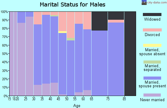 Zip code 60145 marital status for males