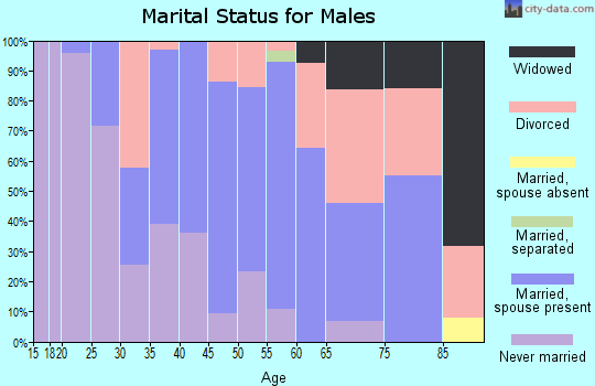 Zip code 60146 marital status for males