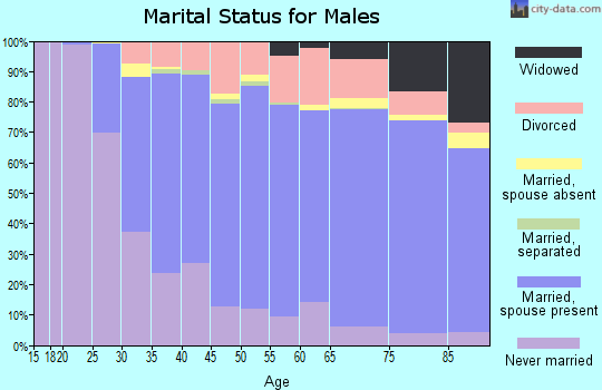 Zip code 60148 marital status for males