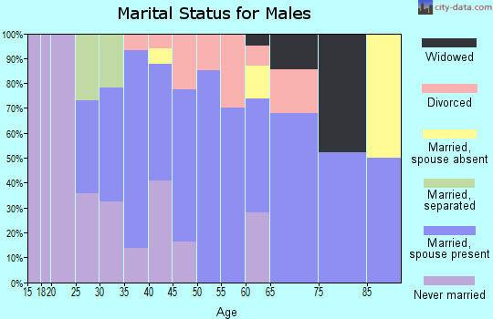 Zip code 60150 marital status for males