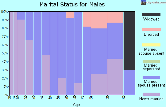Zip code 60157 marital status for males