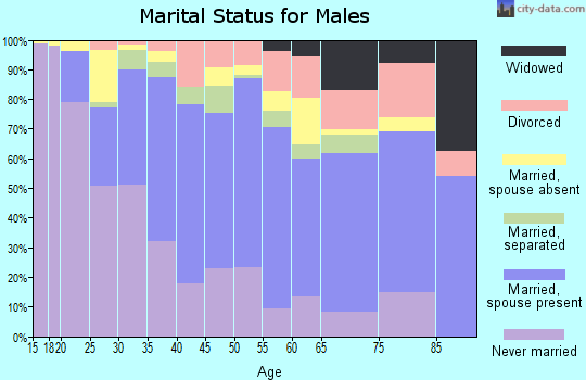 Zip code 60160 marital status for males
