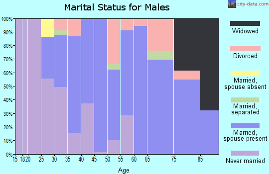 Zip code 60163 marital status for males