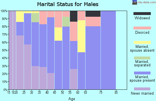 Zip code 60165 marital status for males