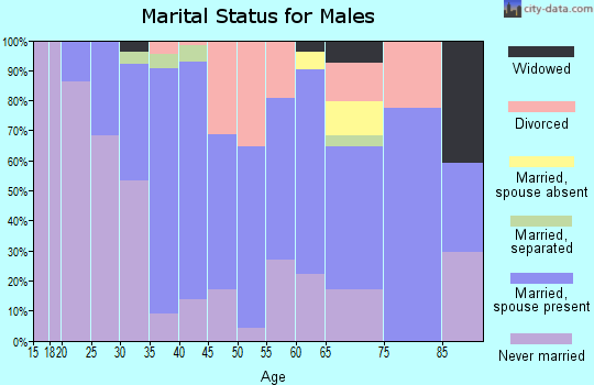 Zip code 60171 marital status for males