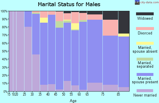 Zip code 60172 marital status for males