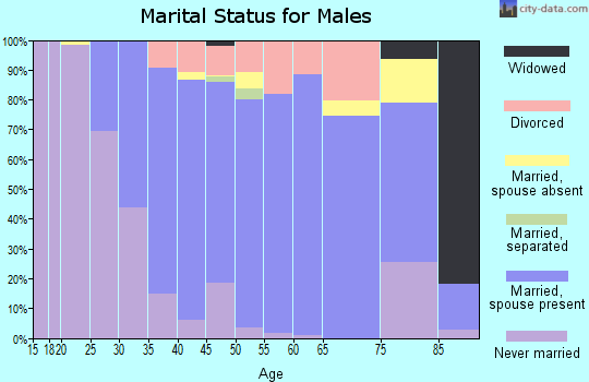 Zip code 60177 marital status for males
