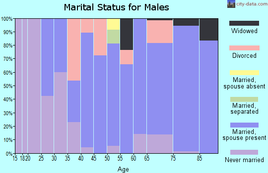 Zip code 60180 marital status for males