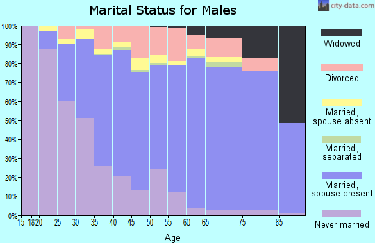 Zip code 60181 marital status for males