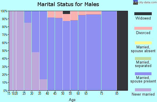Zip code 60184 marital status for males
