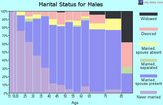 Zip code 60185 marital status for males