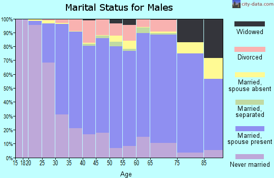 Zip code 60187 marital status for males