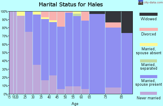 Zip code 60190 marital status for males