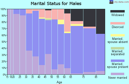 Zip code 60191 marital status for males