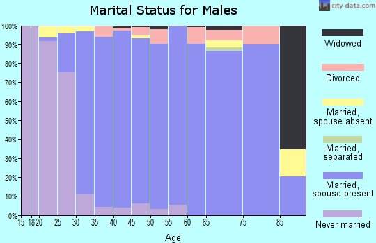 Zip code 60192 marital status for males