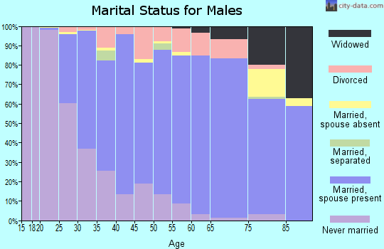 Zip code 60193 marital status for males