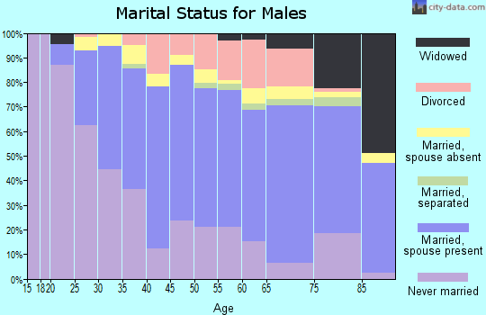 Zip code 60202 marital status for males