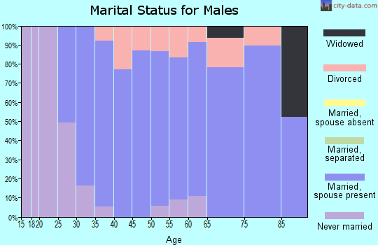 Zip code 60203 marital status for males