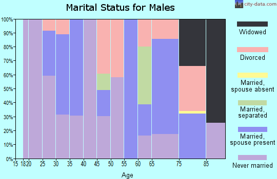 Zip code 60301 marital status for males